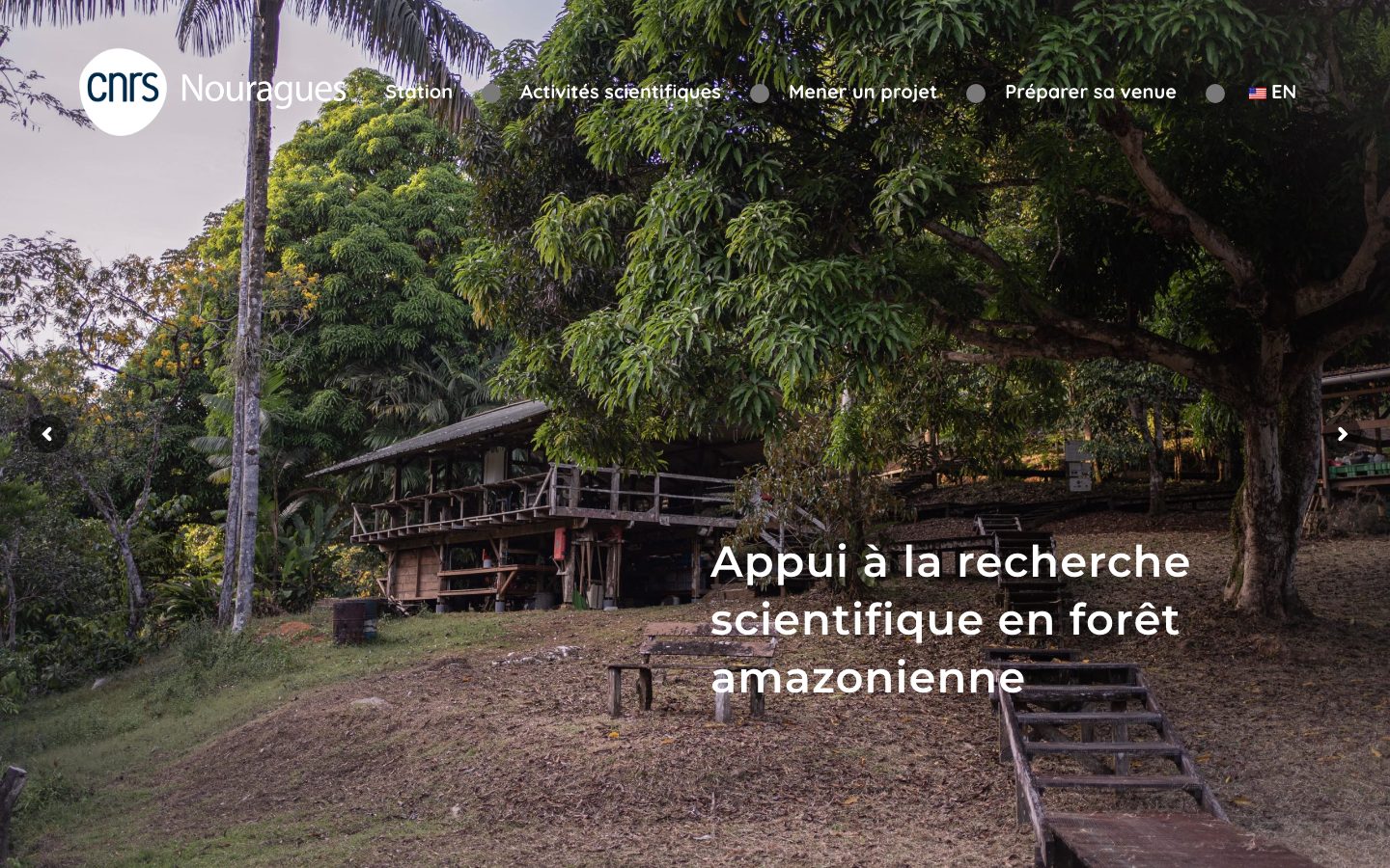 Capture du site Station de recherche des Nouragues — CNRS